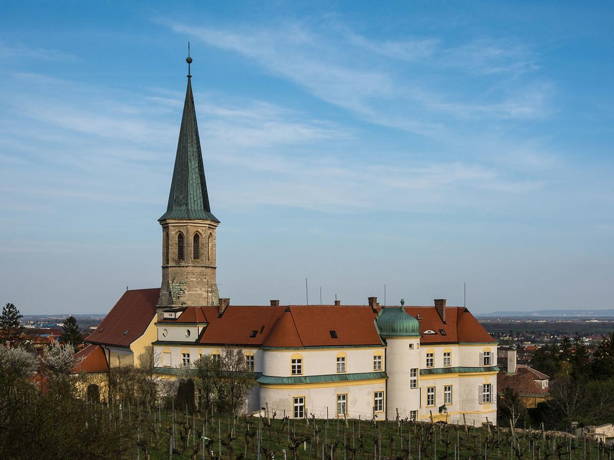 Schloss Gumpoldskirchen Hotel Ngoại thất bức ảnh